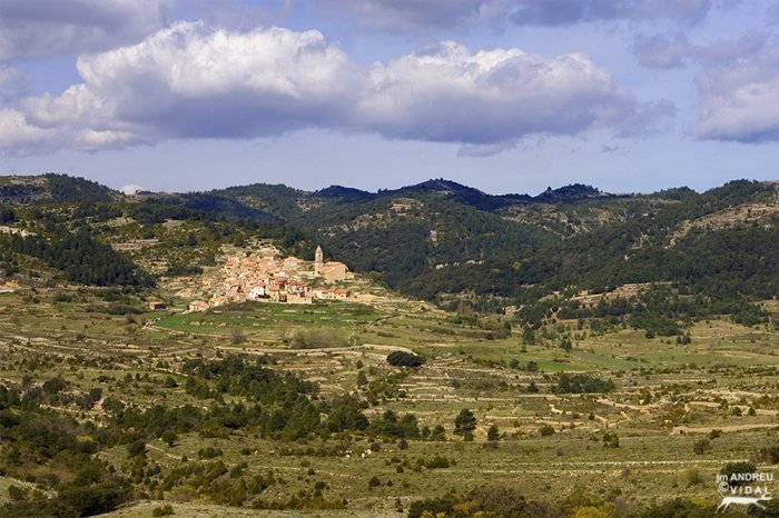 Boixar tinensa benifassa