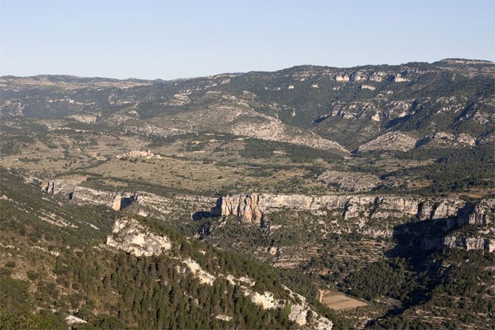 Vista Moleta del terme