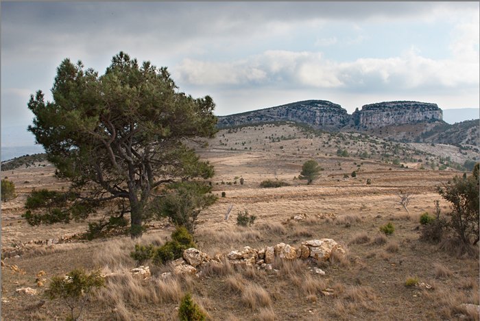 bancals bel tinensa benifas